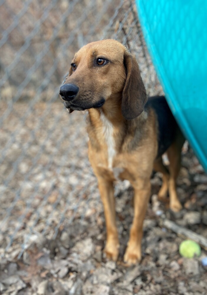 Buster Brown
