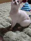 Casper photo 3