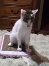 Casper photo 4