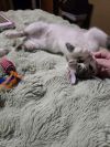 Casper photo 5