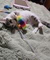 Casper photo 6