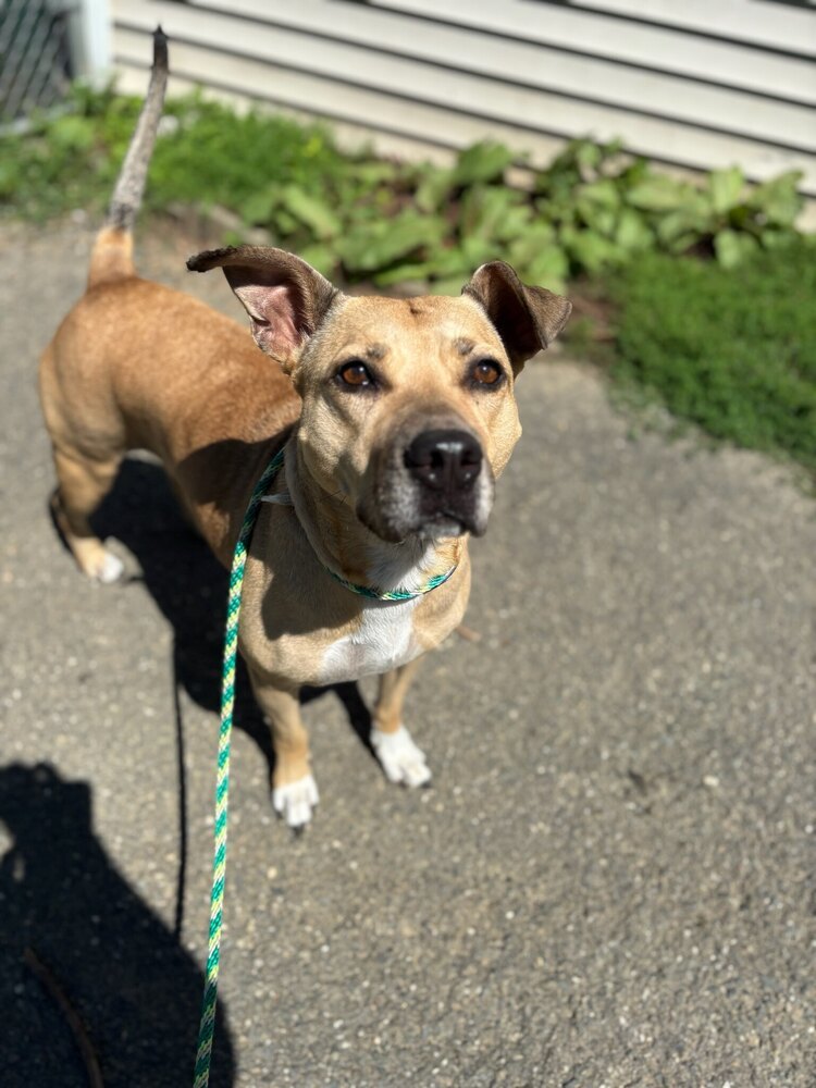 Maggie Moo