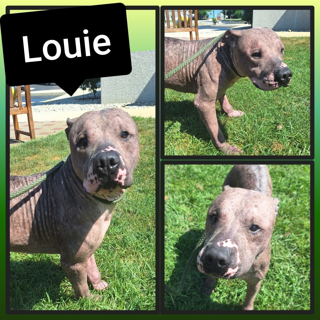 Louie
