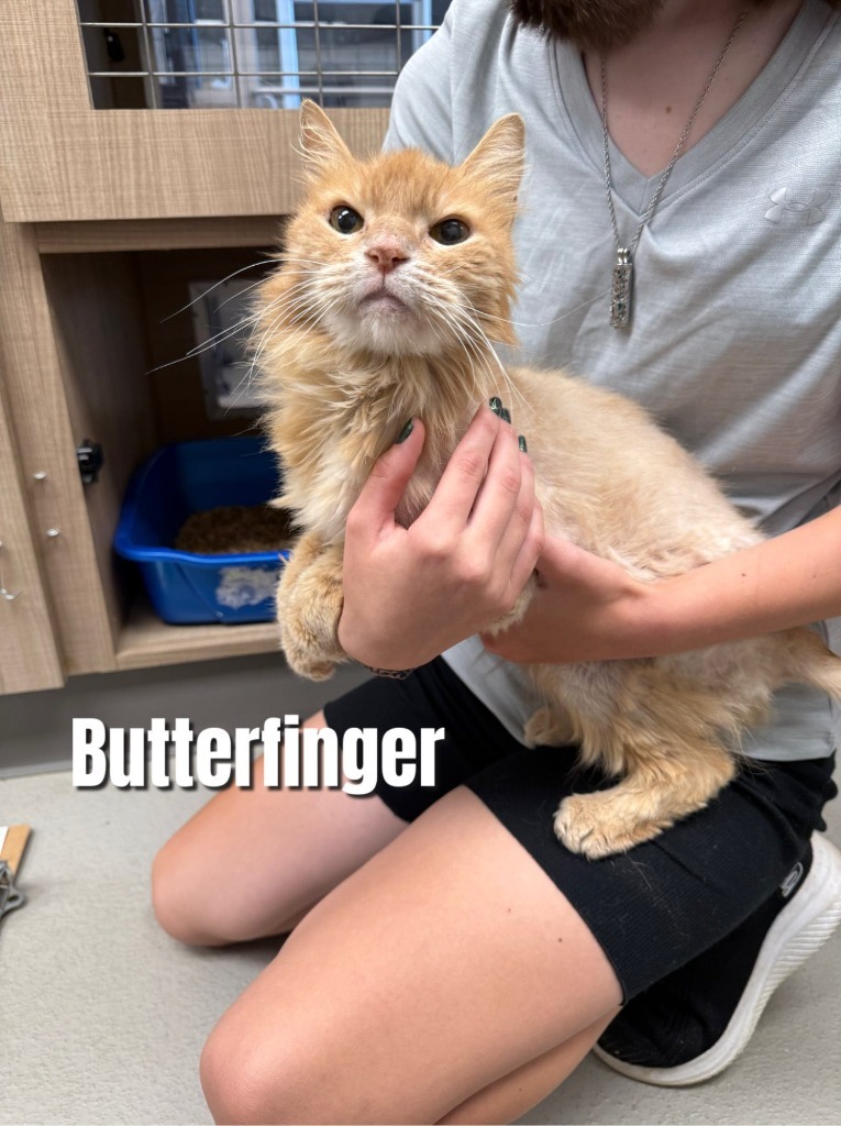 Butterfinger