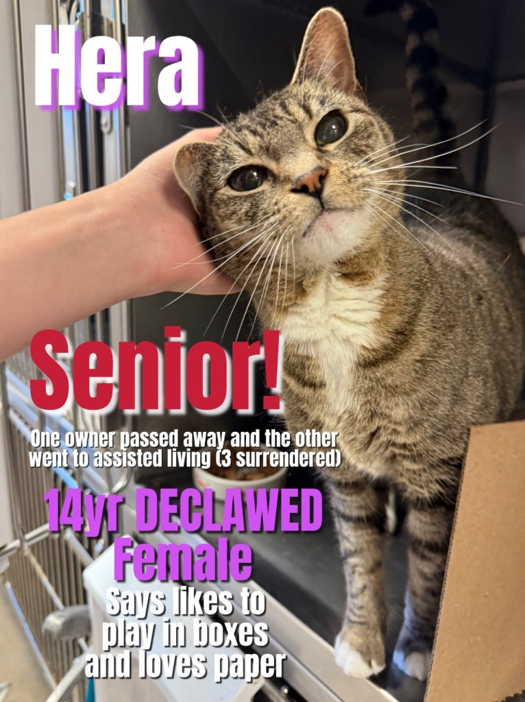 Hera