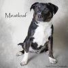 Meatloaf