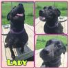 Lady photo 1