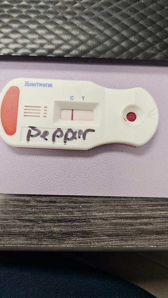 Pepper