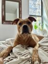 Kali photo 5