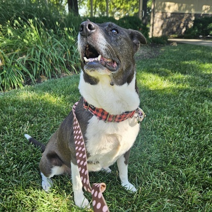 Wilma