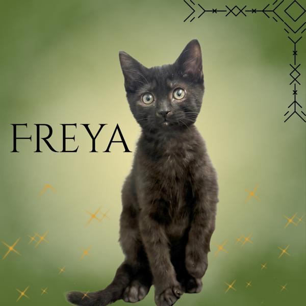 Freya