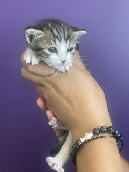 Matilda
