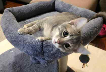 Molly thumbnail 3