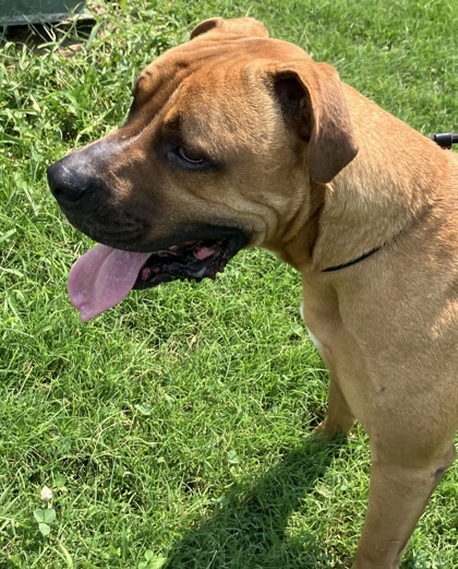 Tyson