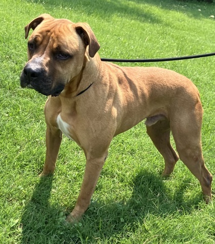 Tyson