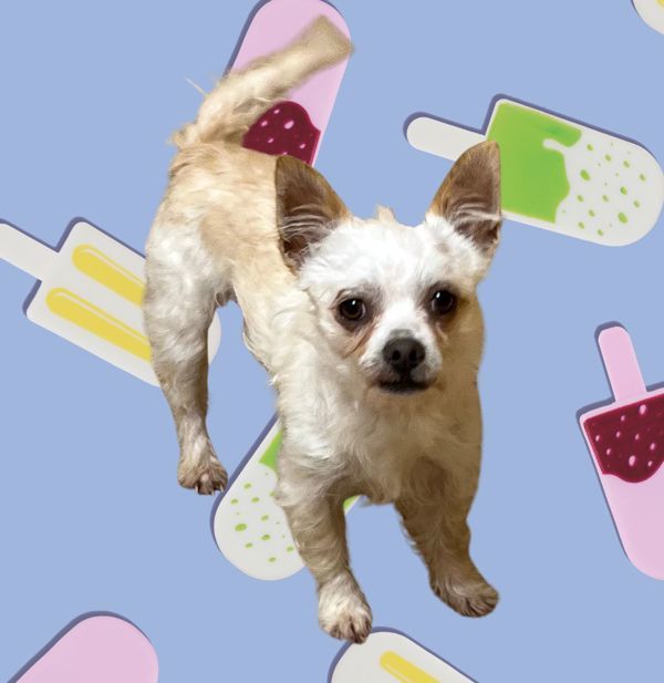 Ernie thumbnail 2