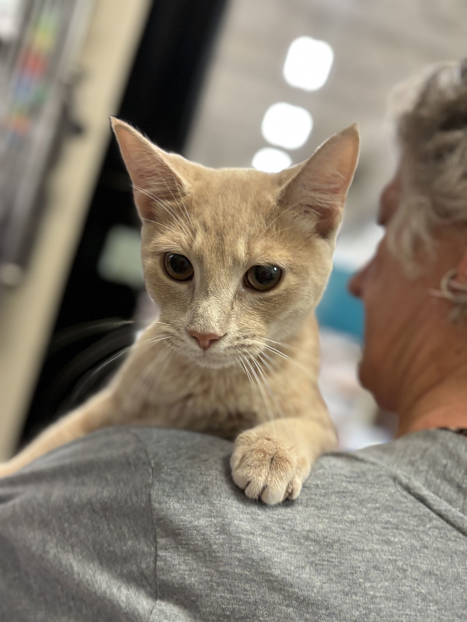 Calvin: Not at the shelter (Debra)