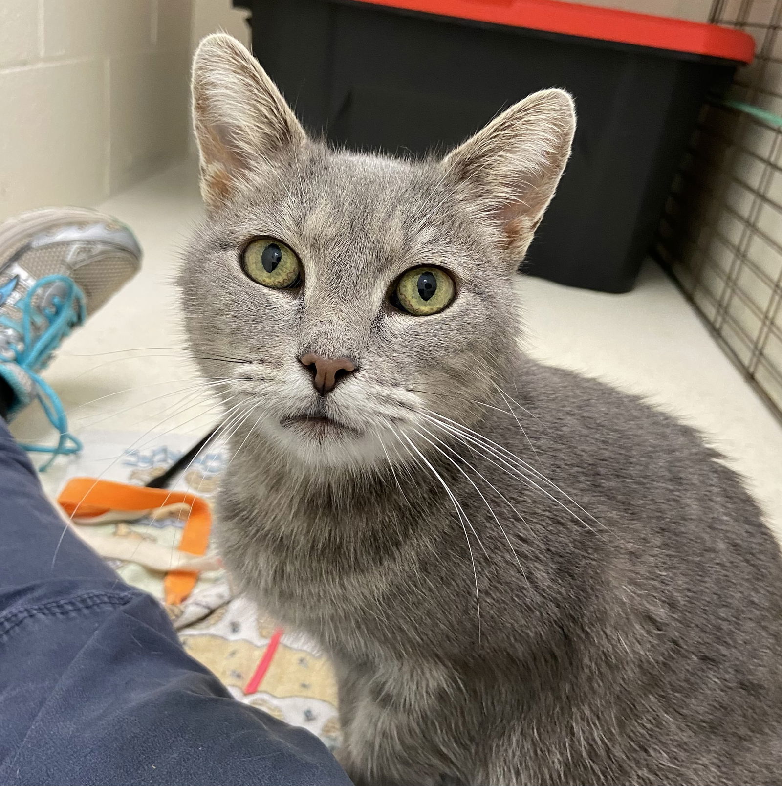 Anita: At shelter