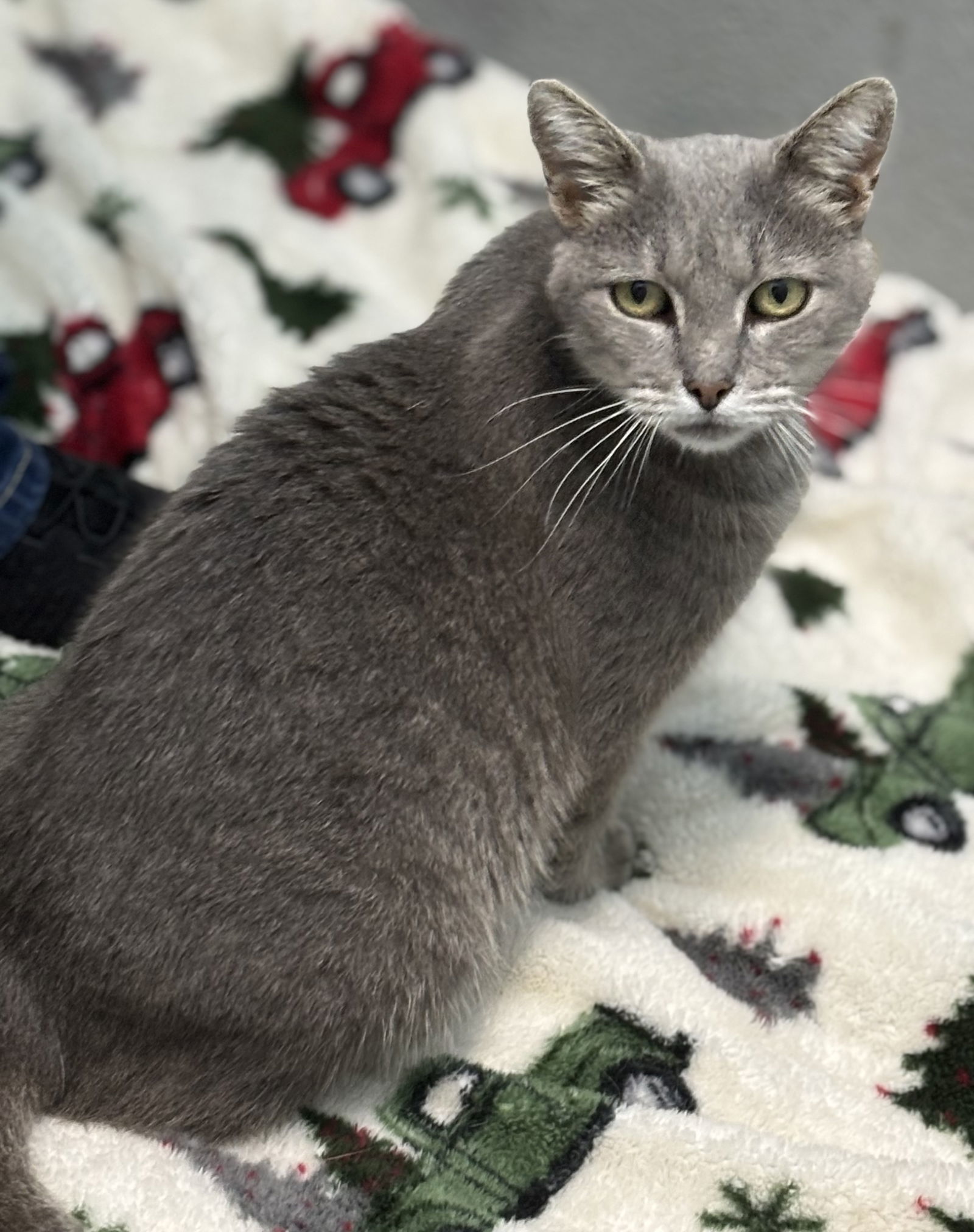 Anita: At shelter