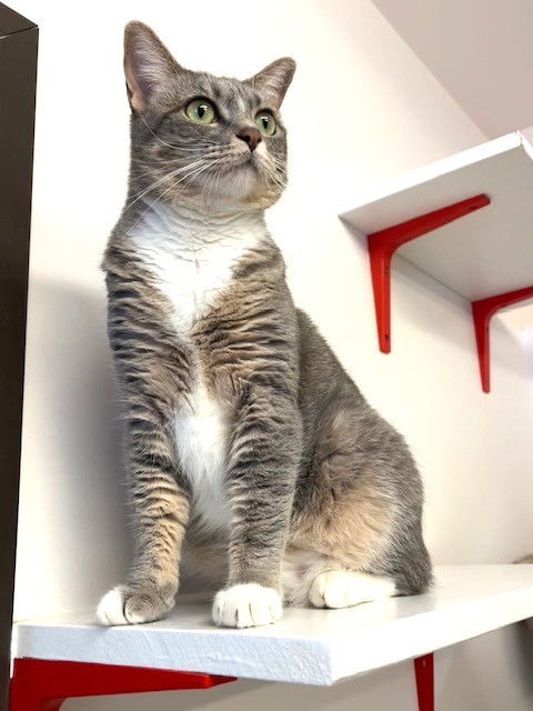 Roxy