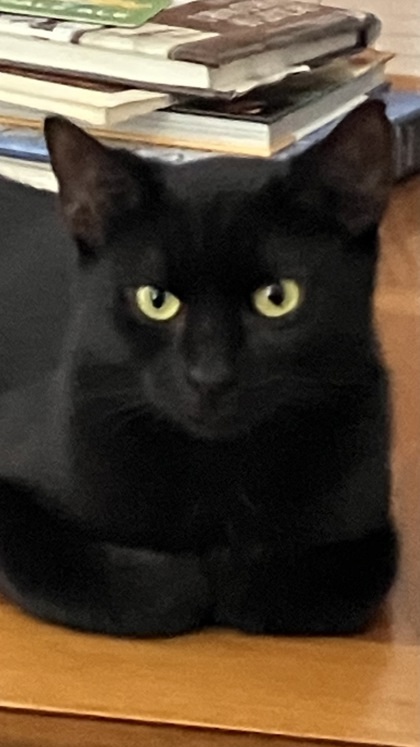Gloria