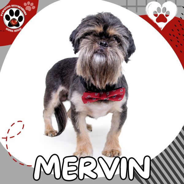 Mervin