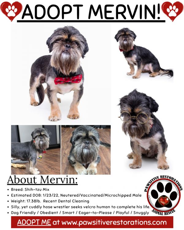 Mervin thumbnail 2