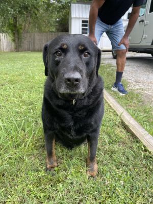 Kilo, Senior Male unknown