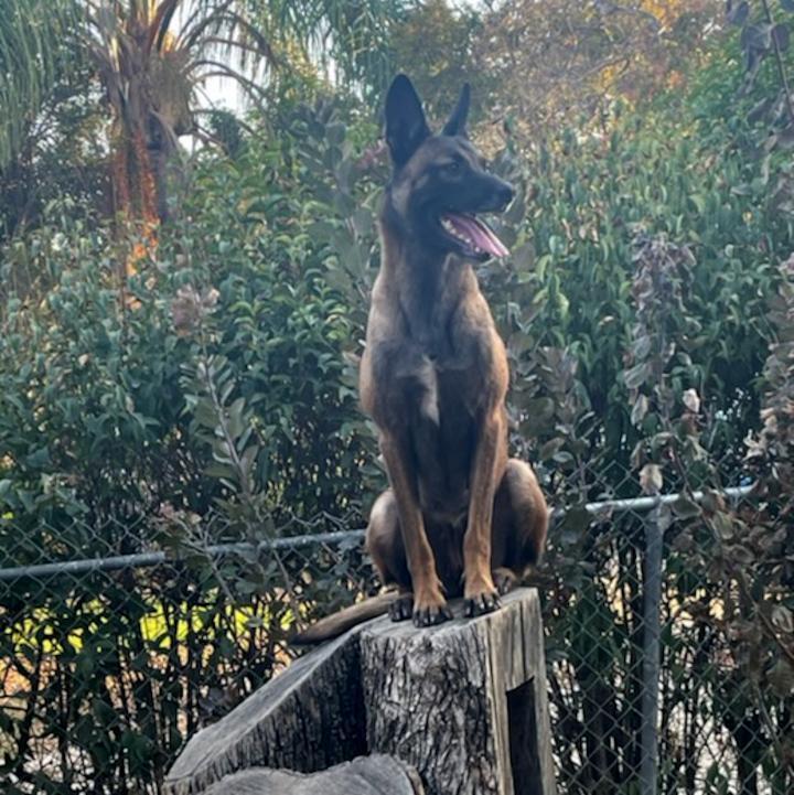Coco
