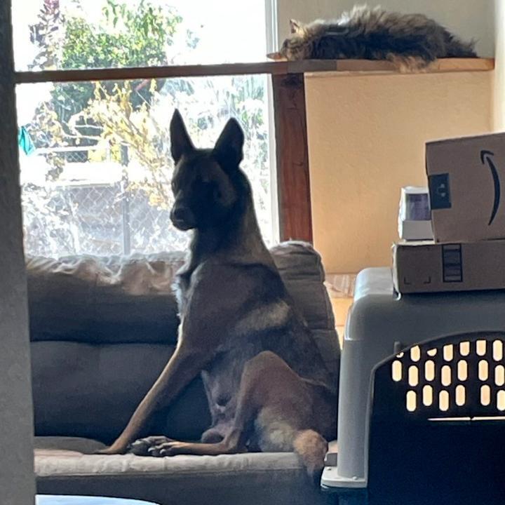 Coco