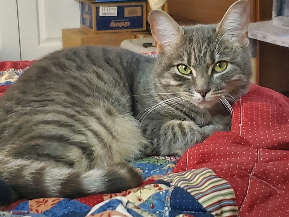 Trudy