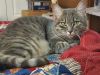 Trudy photo 1