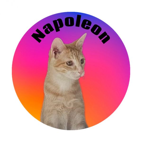 Napoleon photo 1