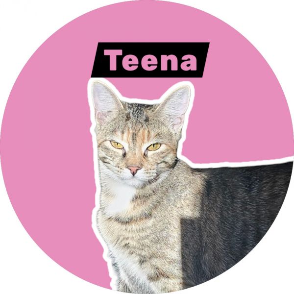 Teena