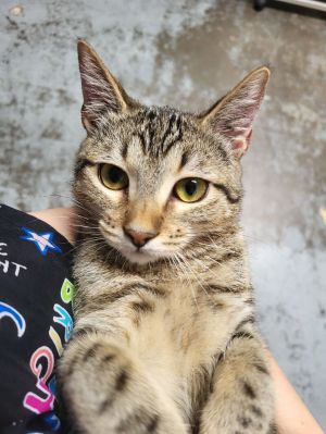 Rosie, Young Female unknown