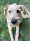 Benny photo 3
