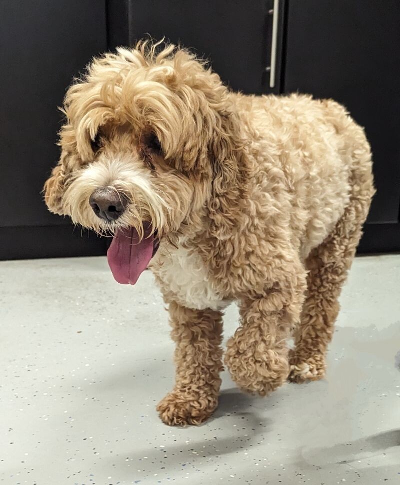 Max