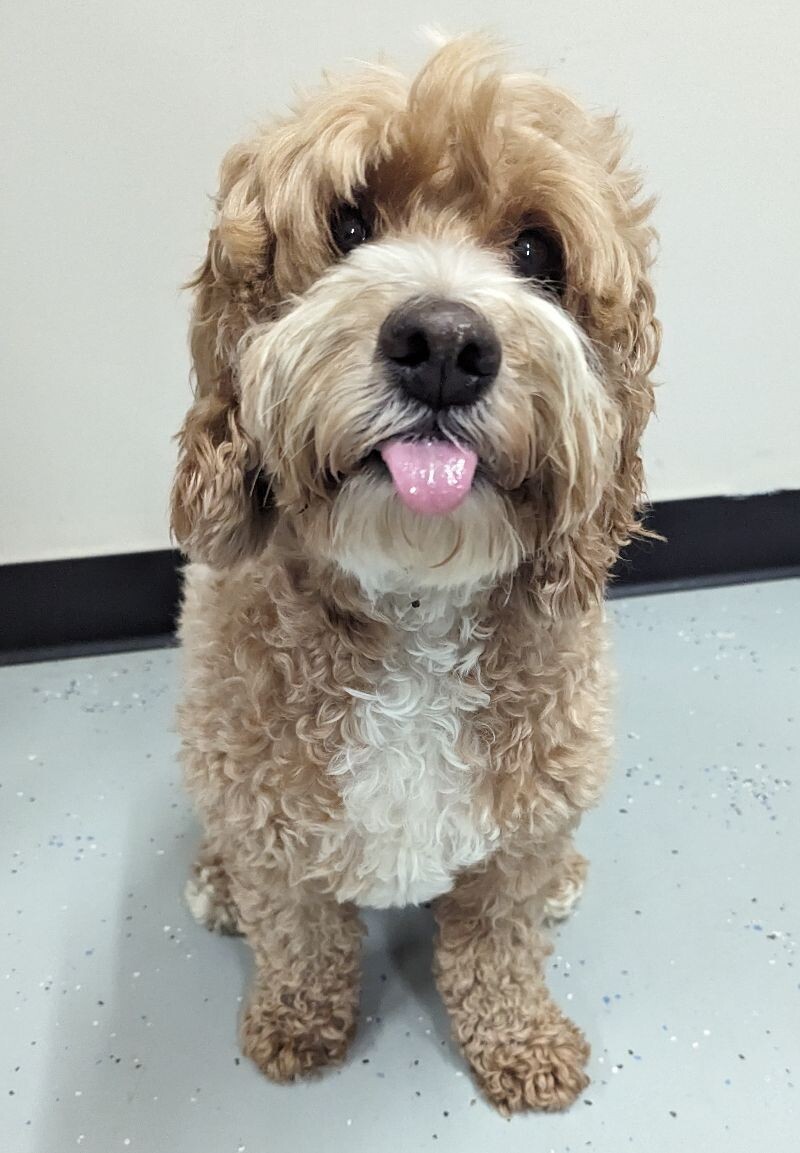 Max