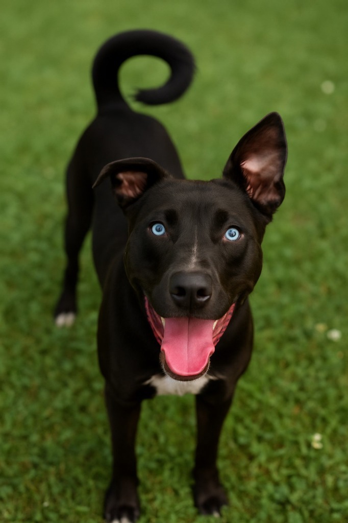Chloe