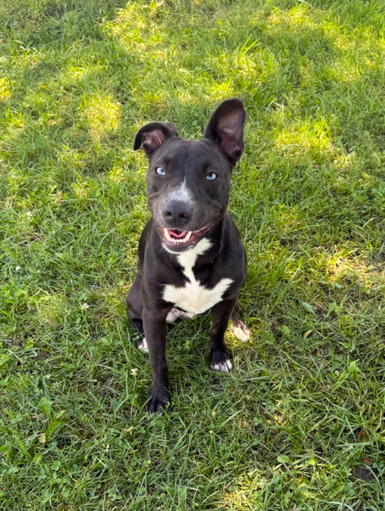 Chloe