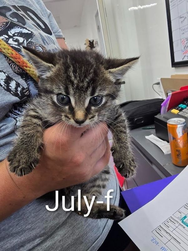 July
