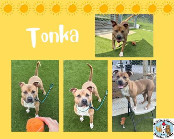 Tonka