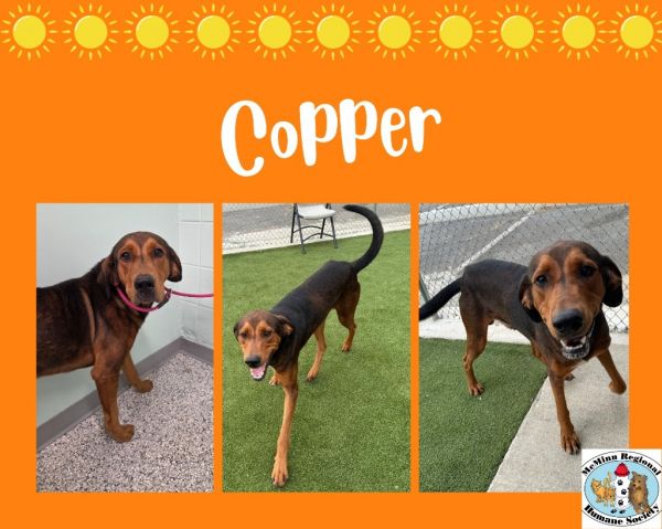 Copper photo 1