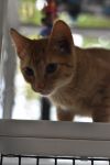 Pooter photo 2