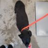 Max photo 3