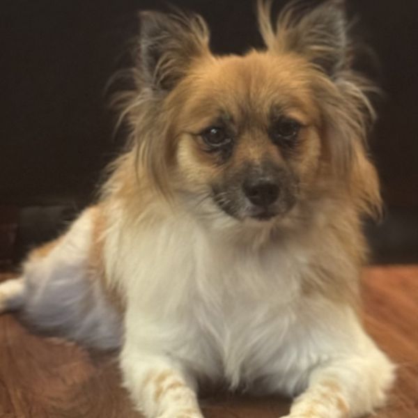 Coco Chanel