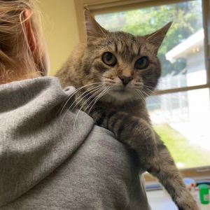 Pele/Butters, Senior Male unknown