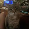 Pele/Butters photo 4
