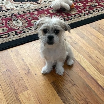 Hudson