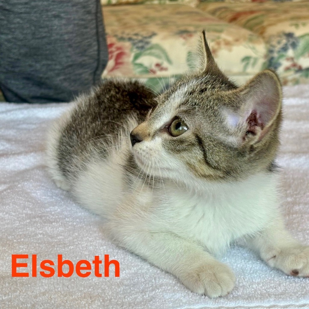 Elsbeth
